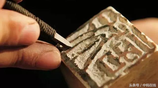 seal cutting picture